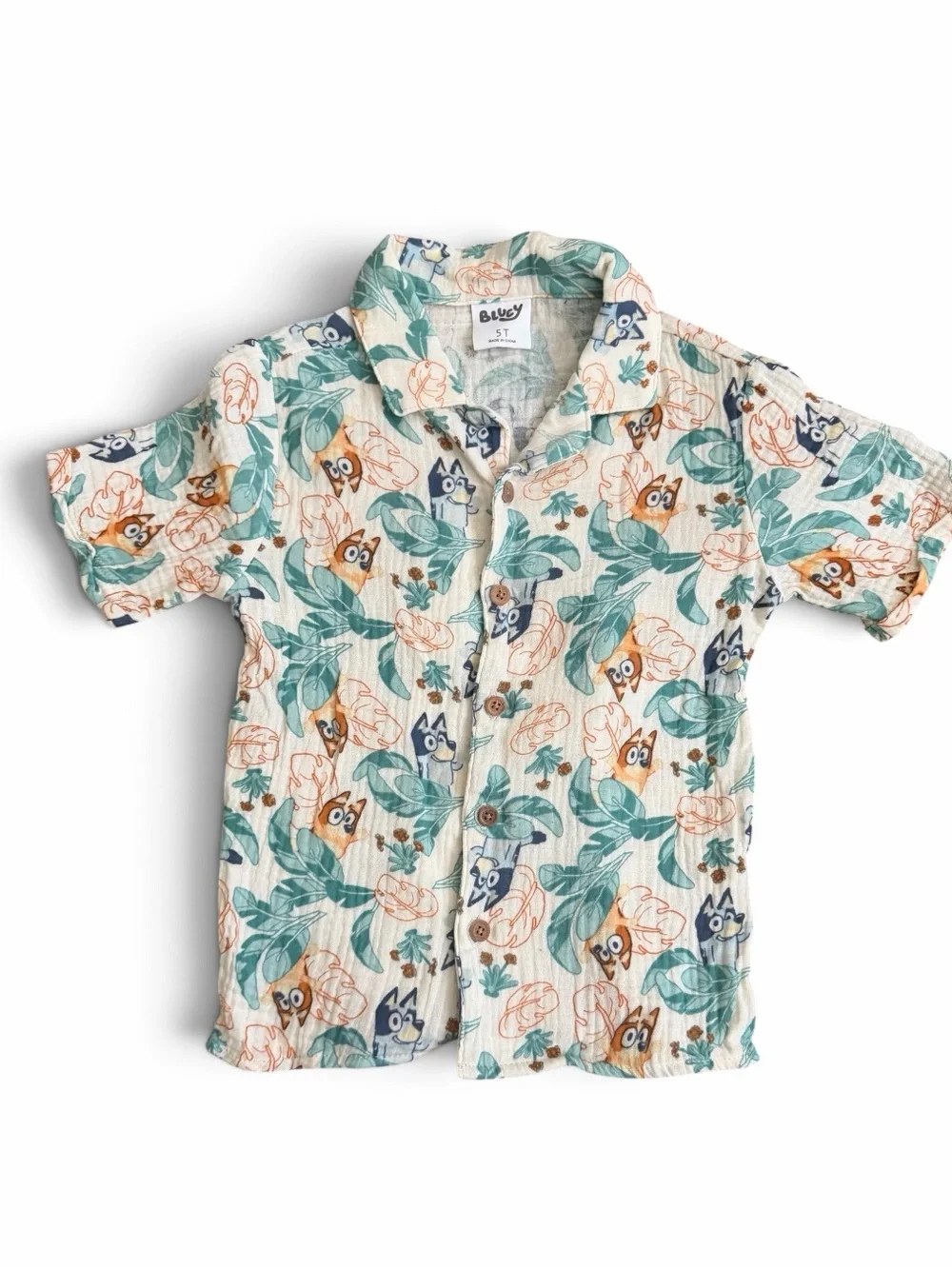 Bluey adorable matching